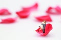 Miniature people: a couple standing on red rose petal on white background, idea for love and valentines day Royalty Free Stock Photo