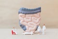 Miniature people ; doctor and nurse `team specialists` observing and discussing about human Intestine