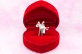 Miniature people: The groom carries the bride on wedding ring box. Image use for Valentine`s Day concept