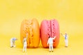 Miniature people : Painters coloring macaroon