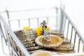 Miniature people : Shoppers with shopping cart on stack of coin. Image use for retail business concept