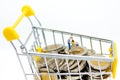 Miniature people : Shoppers with shopping cart on stack of coin. Image use for retail business concept