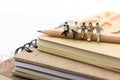 Miniature people, sitting on the pencil and read book on a big book. Image use for background education,or business concept