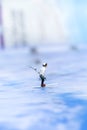 Miniature people, Skier playking ski on snow stream. Image use for sport ,travel concept