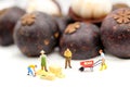 Miniature people : team farmer work with fruit concept agricultu Royalty Free Stock Photo