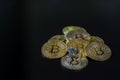 Miniature people teamworks, small model human figure standing on golden Bitcoins stack with copyspace for your text. Royalty Free Stock Photo