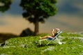 Miniature people toy figure photography. Girl seat on deck chair reading a book, relaxing at garden Royalty Free Stock Photo