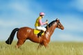 Miniature people toy figure photography. A jockey man riding horse at dried meadow field for training Royalty Free Stock Photo