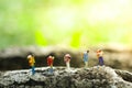 Five travelers trekking in jungle on greenery blurred background