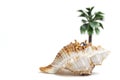 Miniature people wearing swimsuit relaxing on seashells on white background Royalty Free Stock Photo