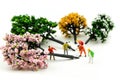 Miniature people : worker using a chainsaw to cut down a large beech tree, Deforestation concept Royalty Free Stock Photo
