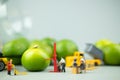 Miniature people workers moving fresh green lime fruit for export agriculture