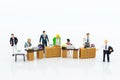 Miniature people : Working in the office, salary man, talent development work. Image use for teamwork ,business coept.