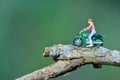 Miniature person figure of a rider motor cycle in the park / toys kids