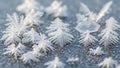 Miniature pine trees and hexagonal snowflakes rest on a smooth Royalty Free Stock Photo