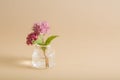 miniature pink wildflower in a glass bottle on a beige background. Minimalism concept, greeting card with copy space