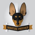Miniature Pinscher Royalty Free Stock Photo