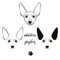 Miniature Pinscher. Vector set of pinscher`s face. Black and white vector illustration. Sketch, three isolated variants. Royalty Free Stock Photo