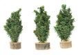 Miniature plastic christmas tree figures