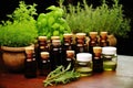 miniature potted plants beside bottles of homeopathic solutions