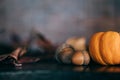 A miniature pumpkin and acorns and fall leaves for a rustic autumn Thanksgiving background with copy space