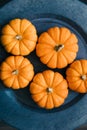 Miniature pumpkins on an aluminum plate charger. autumn fall holiday decor