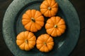 Miniature pumpkins on an aluminum plate charger. autumn fall holiday decor