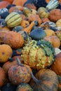 Miniature pumpkins