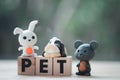 Miniature rabbit, dog and rat on wood block word of PET