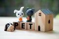 Miniature rabbit, dog and rat on wood block word of `PET` with miniature wood home.