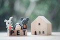 Miniature rabbit, dog and rat on wood block word of `PET` with miniature wood home