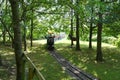 Miniature railway train entering wooded area