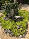 miniature rockery landscape