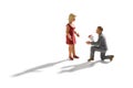 Miniature scene of engagement proposal