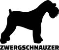 Miniature Schnauzer silhouette real word german Royalty Free Stock Photo