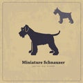 Miniature Schnauzer silhouette vintage poster