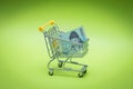 Miniature shopping trolley with Korean money, Won. The concept of shopping and the power of the economy.