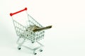 Shopping cart model scene. Royalty Free Stock Photo