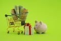 Miniature shopping cart and piggy bank on green Royalty Free Stock Photo