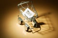 Miniature Shopping Trolley Royalty Free Stock Photo