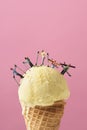 Miniature skier on an ice cream