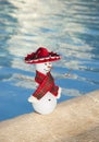 Miniature snowman wearing sombrero by a pool