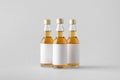 Miniature Spirits / Liquor Bottle Mock-Up - Three Bottles. Blank Label