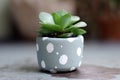 miniature succulent in painted concrete pot with polka dots