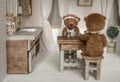 Miniature teddy bears. Royalty Free Stock Photo