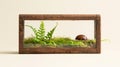 Miniature terrarium with pillbug and fern Royalty Free Stock Photo
