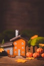 Miniature Thanksgiving little autumn cottages village in the forest