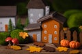 Miniature Thanksgiving little autumn cottages village in the forest