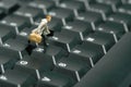 A businessman running above black keyboard carrying briefcase. Isolated on white background Royalty Free Stock Photo