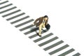 A businessman wearing coat walking alone on zebra crossing at the street road Royalty Free Stock Photo